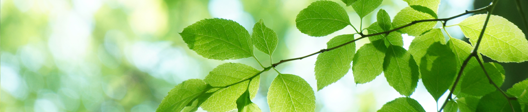 ご相談者様の声